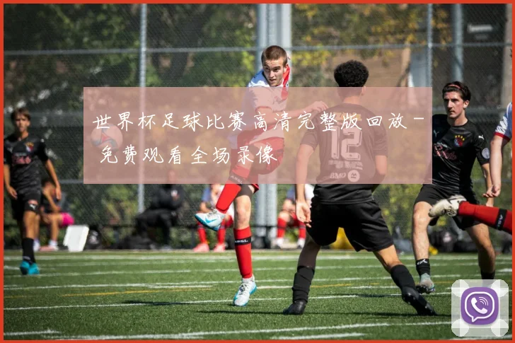 世界杯足球比赛高清完整版回放 - 免费观看全场录像